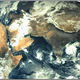 Image for article titled India Reaches Mars With Mangalyaan's Safe Arrival